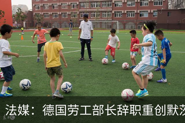 法媒：德国劳工部长辞职重创默茨执政联盟